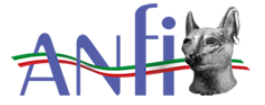 Anfi Associazione Nazionale Felina Italiana